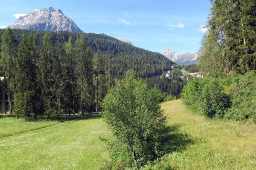 a green field with trees and mountains in the background at Apartment Scuol in Scuol