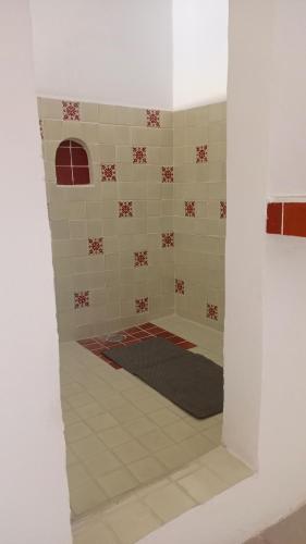 a bathroom with a shower with a rug in it at Habitación exclusiva,todos los servicios,Pati privado in Guanajuato