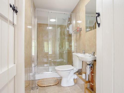 a bathroom with a toilet and a shower and a sink at 3 Bed in Llandrindod Wells 65885 in Llanbadarn-fynydd