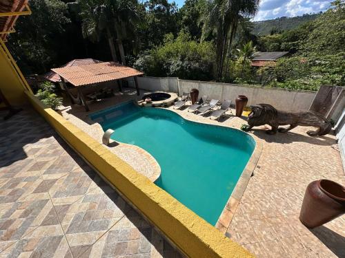 a swimming pool with a dog sitting next to it at Casa Amarela in Paranoá