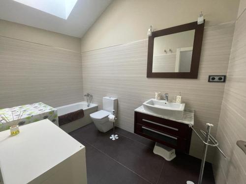 巴埃薩的住宿－Donde habita el olvido，一间带水槽、卫生间和镜子的浴室