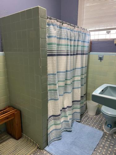 a bathroom with a shower curtain and a toilet at Spa Apartment in Mayaguez