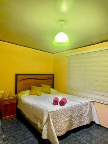 a bedroom with a bed with two pink slippers on it at Hotel Olmos in Vicuña