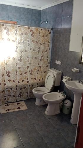 a bathroom with a toilet and a sink at Lago fagnano 23 in Tolhuin