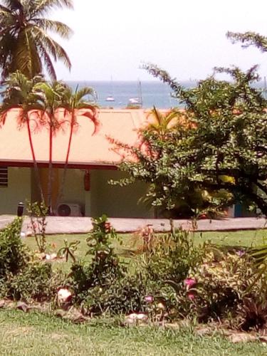 a house with palm trees and a view of the ocean at Princess des Iles in Sainte-Anne