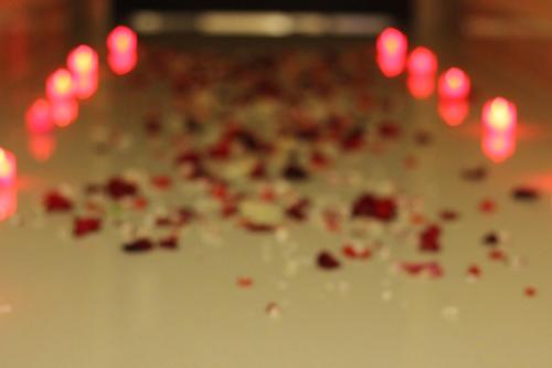 a bunch of red rose petals are on a wall at Ertiaad Tabuk for Hotel Apartment in Tabuk