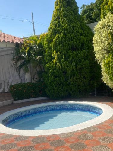a small swimming pool in a yard with trees at Valle Suites, la Mejor Ubicación in Valledupar