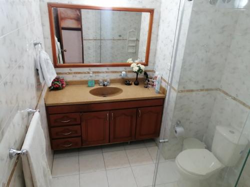 y baño con lavabo, espejo y aseo. en APARTAMENTO CAMPESTRE CHINAUTA, en La Serena