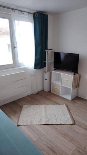 TV a/nebo společenská místnost v ubytování Studio proche du centre-ville