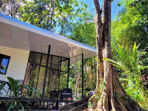 プエルト・ヒメネスにあるLuba houseの大木の家