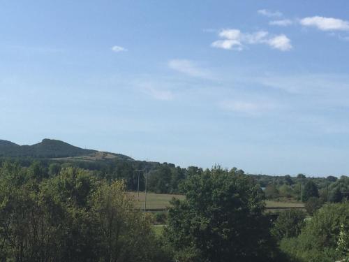 a view of a mountain with trees in the foreground at Alte Rose Gasthaus in Ebelsbach