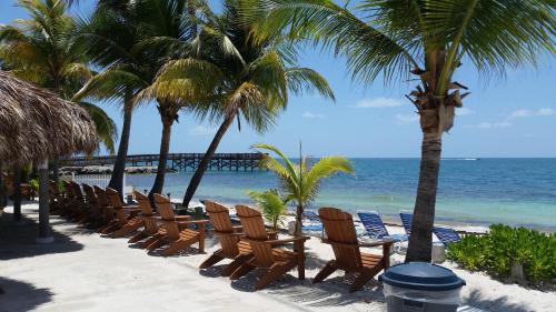 a row of chairs on a beach with palm trees at Buccaneer Quarters and Suites in Marathon
