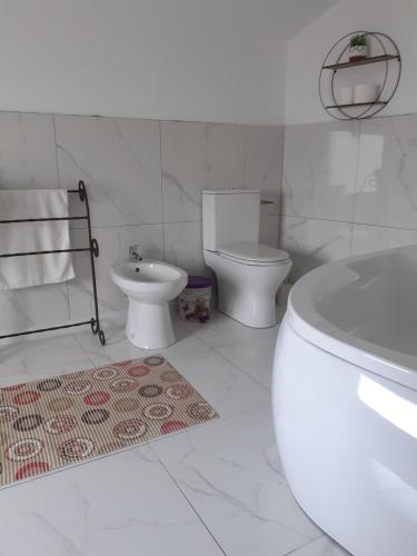 uma casa de banho branca com um WC e um lavatório em CASUTA VERDE em Gura Humorului