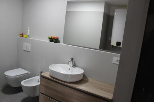 bagno con lavandino, servizi igienici e specchio di Suite Marco, Cavalese. CIPAT 022050-AT-993709 a Cavalese