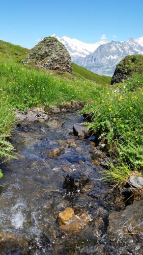 a stream in a field with mountains in the background at Chalet Bodenwald in Grindelwald