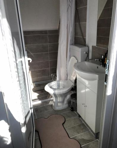 a small bathroom with a toilet and a sink at Parâng View in Petroşani