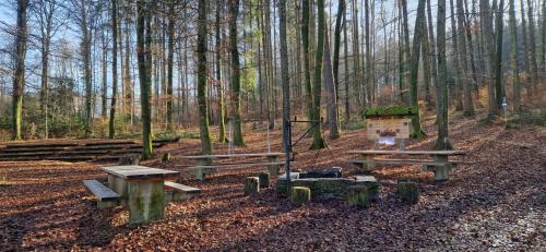 a group of picnic tables in the woods at Wonderful cozy apartment very well located in Gross Gurmels