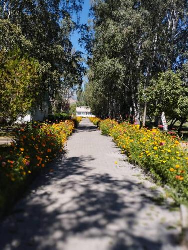 eine unbefestigte Straße mit Blumen und Bäumen darauf in der Unterkunft Пансионат Нептун in Korumdy