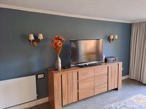 a television on a wooden cabinet with a vase of flowers at Villa SKYLO in Winterberg