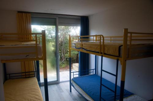 deux lits superposés dans une chambre avec fenêtre dans l'établissement les pieds dans l'eau, à Monticello