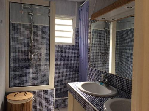 ein Bad mit einem Waschbecken, einer Dusche und einem Spiegel in der Unterkunft A la belle Etoile. Appt de charme 1er ét. villa in Saint-Leu