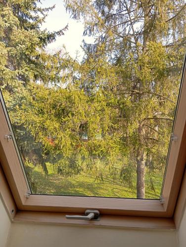Gallery image of Patak-Party Apartmanok in Bogács