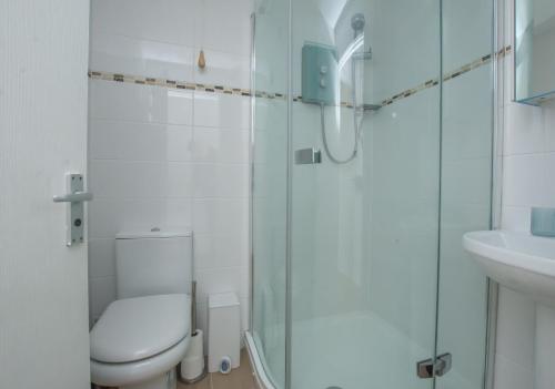 uma casa de banho com um WC e uma cabina de duche em vidro. em Chalet Fortyone em Deal