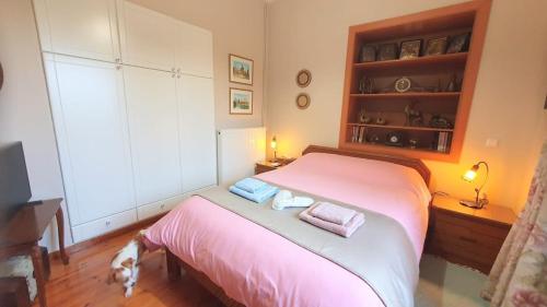 um quarto com uma cama e um cão ao lado em Best House, Green Home, Elaiofyto Village, Agrinio, Aitoloakarnania 