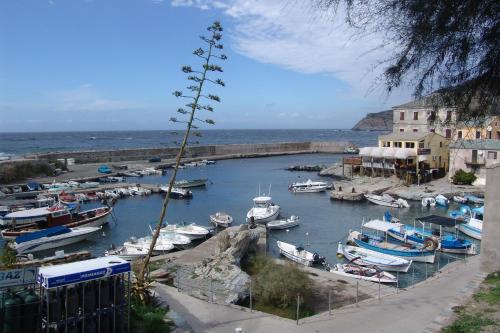 a marina with boats in the water next to a building at Hotel-Restaurant Le Vieux Moulin in Centuri