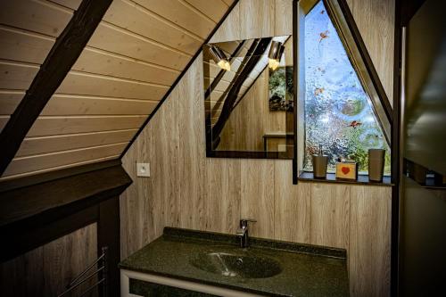 a bathroom with a sink and a mirror and a window at Gîte Les Sabots de Paille, Alsace Haut-Rhin in Ballersdorf