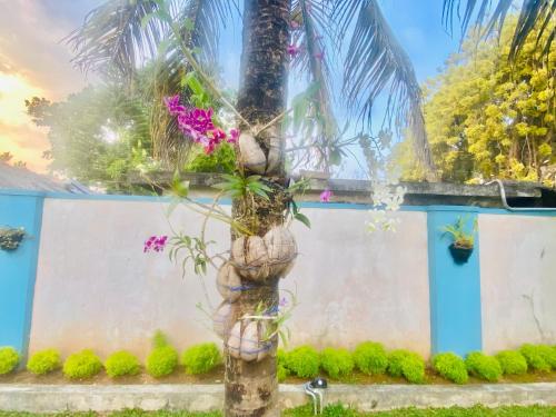a palm tree in front of a wall with flowers at Villa Riverside in Aluthgama