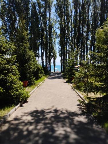 a tree lined road with a beach in the distance at пансионат Нептун in Korumdy