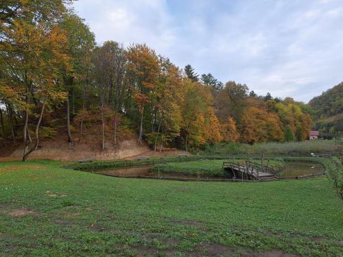 a field with a bridge in the middle of a forest at Casa cu Prispa in Sighişoara