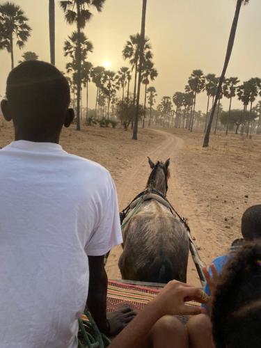 un grupo de personas montando un caballo por un camino de tierra en Hôtel évasion pêche djilor île sine saloum, en Fatick