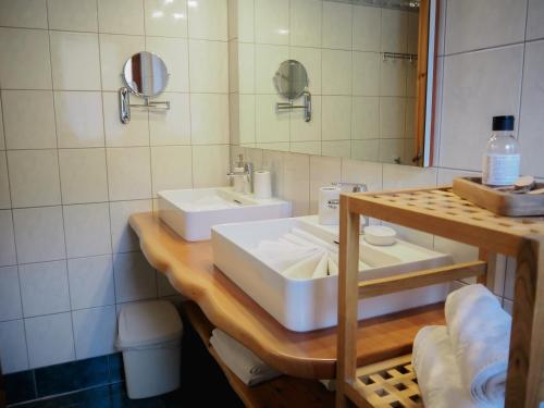 a bathroom with a sink and a mirror at ERLEBNISBAUERNHOF Steinerhof in Kärnten in Liebenfels
