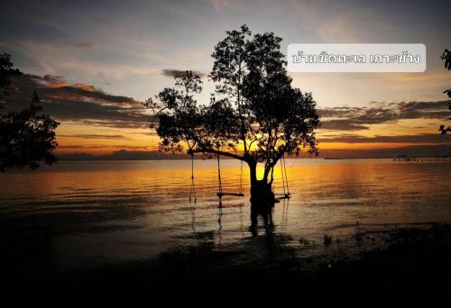 a tree in the middle of a body of water at Baan Chid Talay in Ko Chang