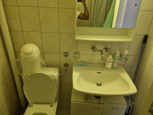 bagno con servizi igienici, lavandino e specchio di Joli Studio a La Chaux-de-Fonds