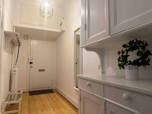 une cuisine avec des armoires blanches et une plante en pot dans l'établissement Stay Inn Apartments Norrmalm, à Stockholm