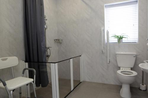 a white bathroom with a toilet and a sink at Causeway guest accommodation in Bushmills