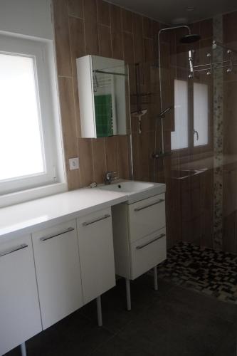 une salle de bain avec un lavabo blanc et une douche dans l'établissement Le bois aux Ecureuils, à Fierville-les-Mines