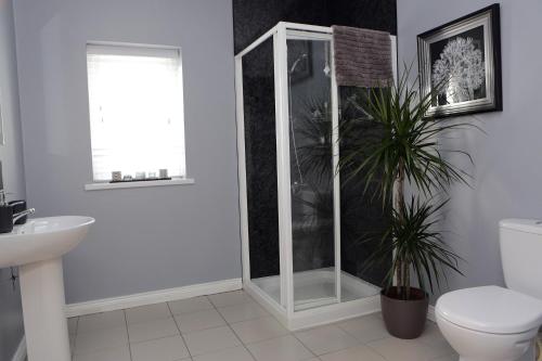 a bathroom with a shower and a toilet and a plant at Causeway B&B in Bushmills