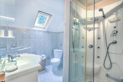 une salle de bain avec une douche, un lavabo et des toilettes dans l'établissement La Esnaudière - Maison à moins d’un km du Rance, à Langrolay