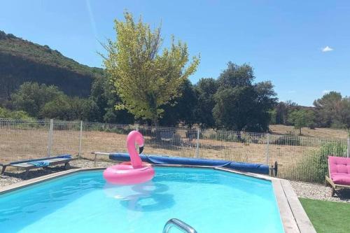 une piscine avec un cygne rose au milieu dans l'établissement Mas dans la garrigue, piscine, pétanque, ping pong, volley ball, à Saint-Paul-et-Valmalle