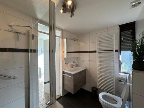 a bathroom with a sink and a toilet and a shower at Heggerank 19A* in Nieuwvliet