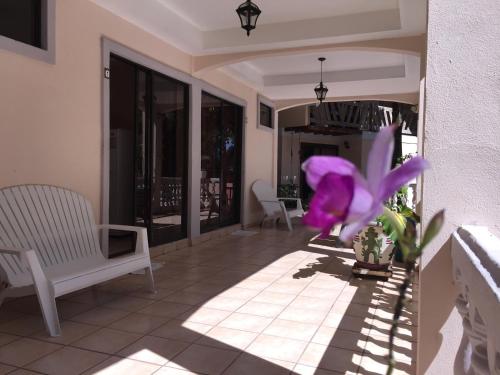 a purple flower in a vase on a porch at Hotel Beachfront Vista Hermosa in Jacó