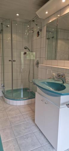 y baño con ducha acristalada y lavamanos. en Sson FeWo, en Hiddenhausen