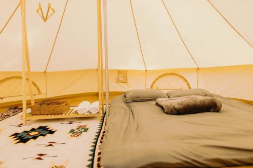 uma cama numa tenda num quarto em The Homilá Bảo Lộc - Hill View Bungalow & Glamping em Bảo Lộc