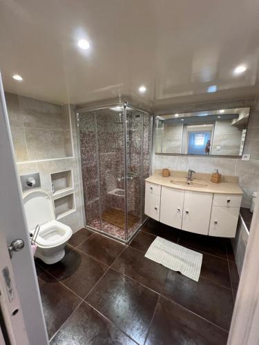 La salle de bains est pourvue d'une douche, de toilettes et d'un lavabo. dans l'établissement Villa sur la Côte d’Azur avec piscine, à La Colle-sur-Loup