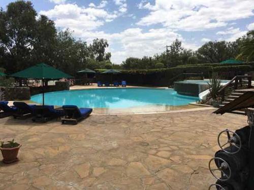 Great Rift Valley Lodge and Golf Resort في نيفاشا: مسبح كبير مع كراسي ومظلات