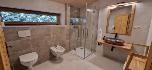 een badkamer met een toilet, een douche en een wastafel bij Srubová Chata Tis in Heřmanovice